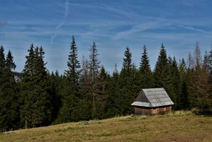 Fotoaktywni 33